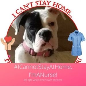 Meet your Posher, Jodi